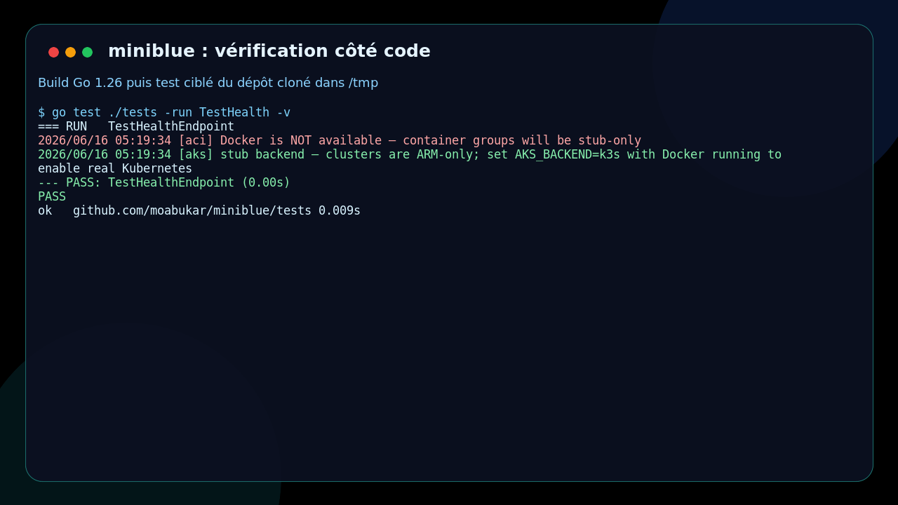 miniblue interface showing the targeted Go test and the passing health endpoint