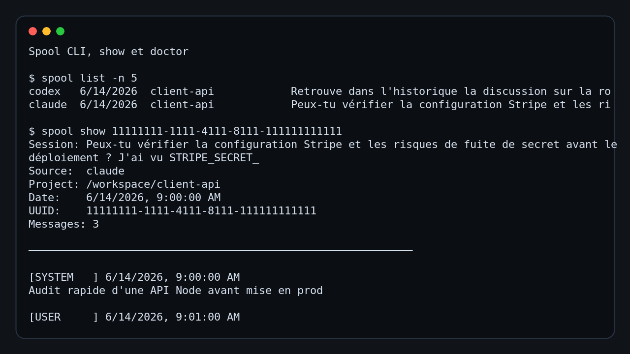 interface de Spool montrant la commande doctor et l'affichage d'une session