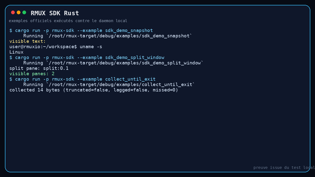 interface de RMUX montrant les exemples SDK Rust exécutés contre le daemon local